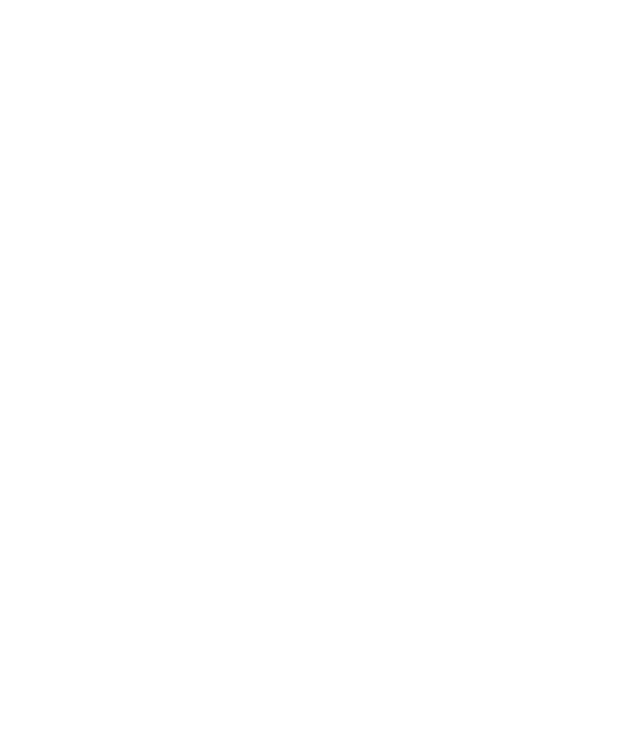 BNU Logo